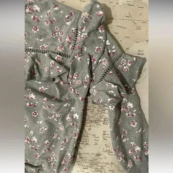 Peek 12 XL Gray Pink Floral
Ruffled Sweater - Picture 3 of 4